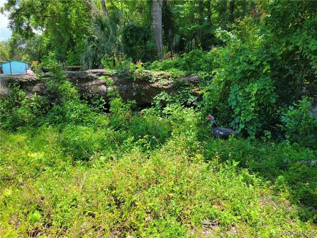 4902 S Roebuck Way, Homosassa, New York image 20