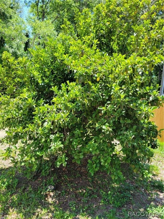 4902 S Roebuck Way, Homosassa, New York image 23