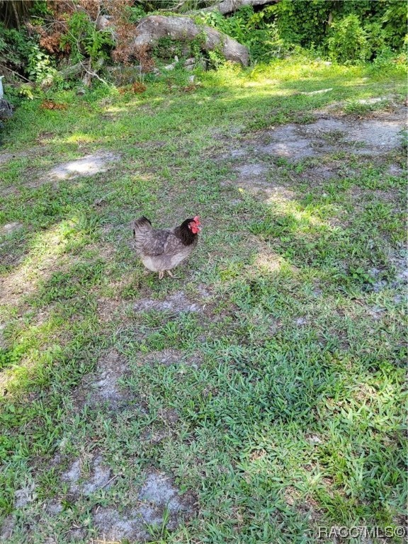 4902 S Roebuck Way, Homosassa, New York image 24