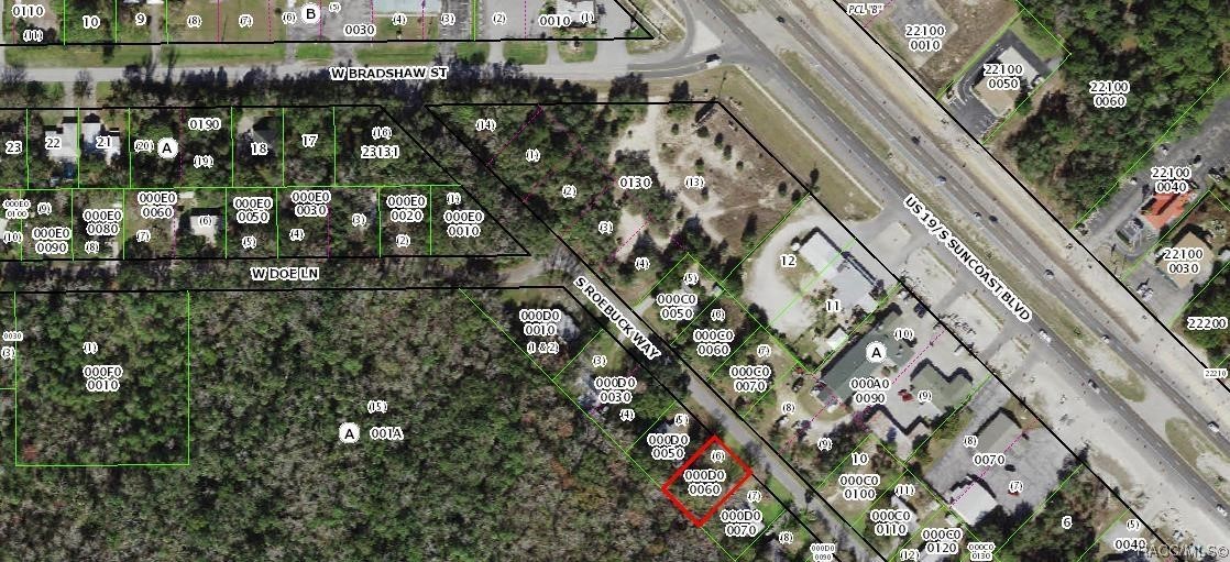 4902 S Roebuck Way, Homosassa, New York image 21