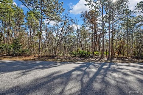 Vacant Land For Sale - 174 Daisy Street<br/> Homosassa, FL 34446