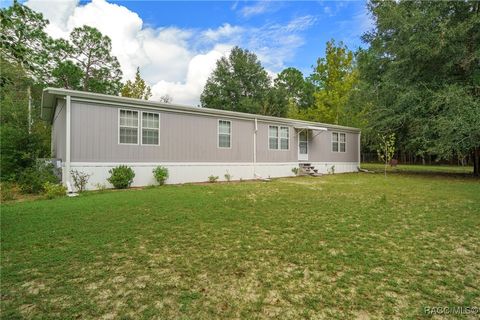 A home in Hernando