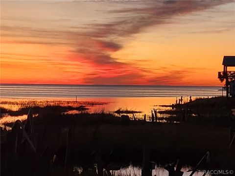 Vacant Land For Sale - 1860 Ezell Beach Road<br/> Taylor County, Perry, FL 32348