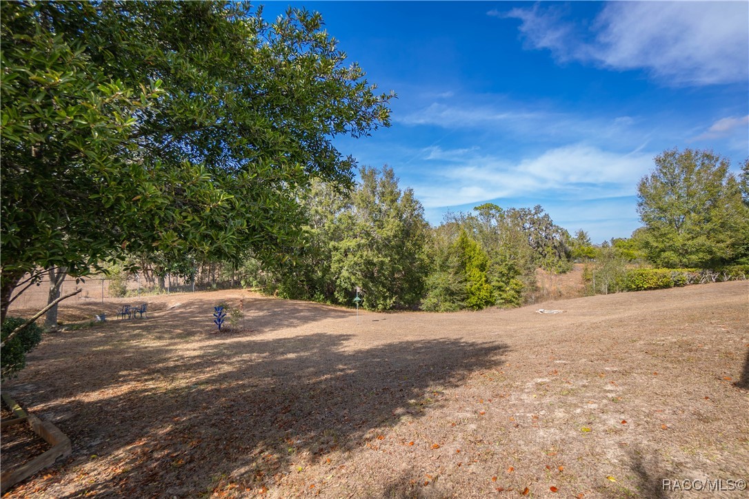 10469 S Drew Bryant Circle, Floral City, Florida image 26