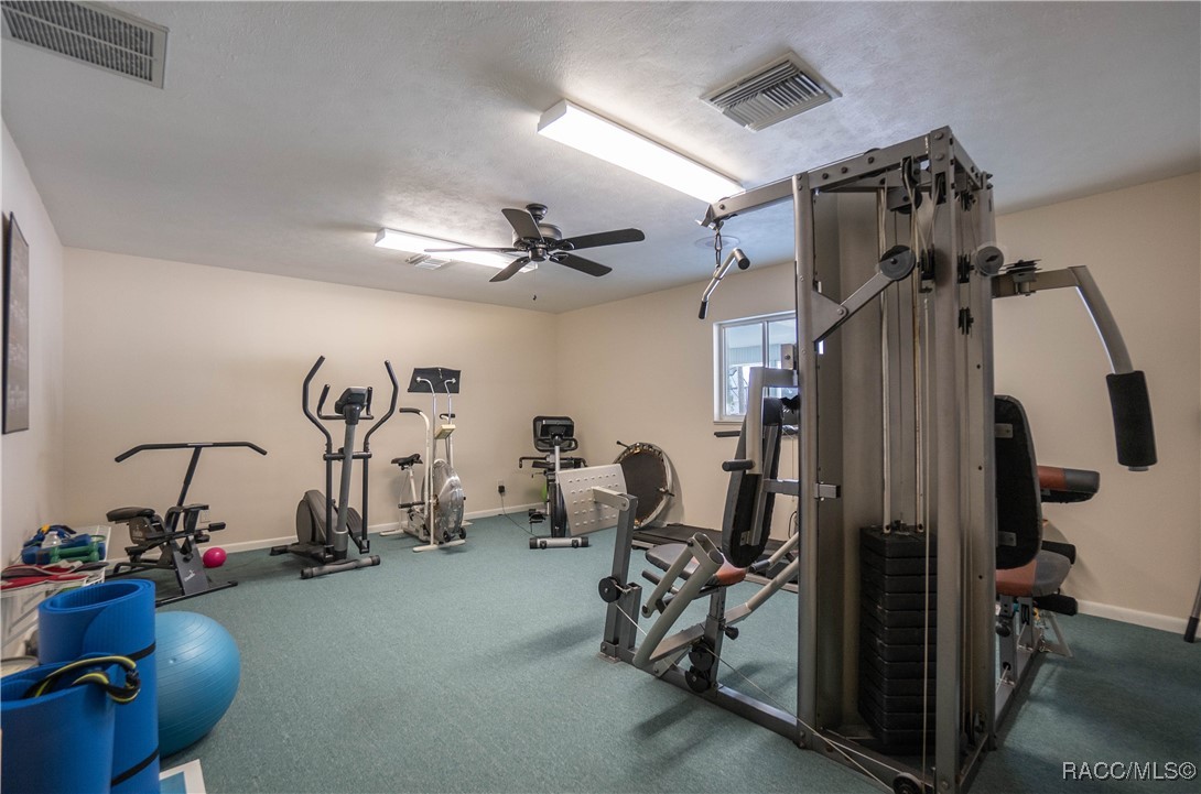 10469 S Drew Bryant Circle, Floral City, Florida image 42