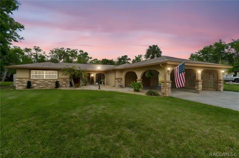 Homes For Sale - 10039 W Halls River Road<br/> Homosassa, FL 34448