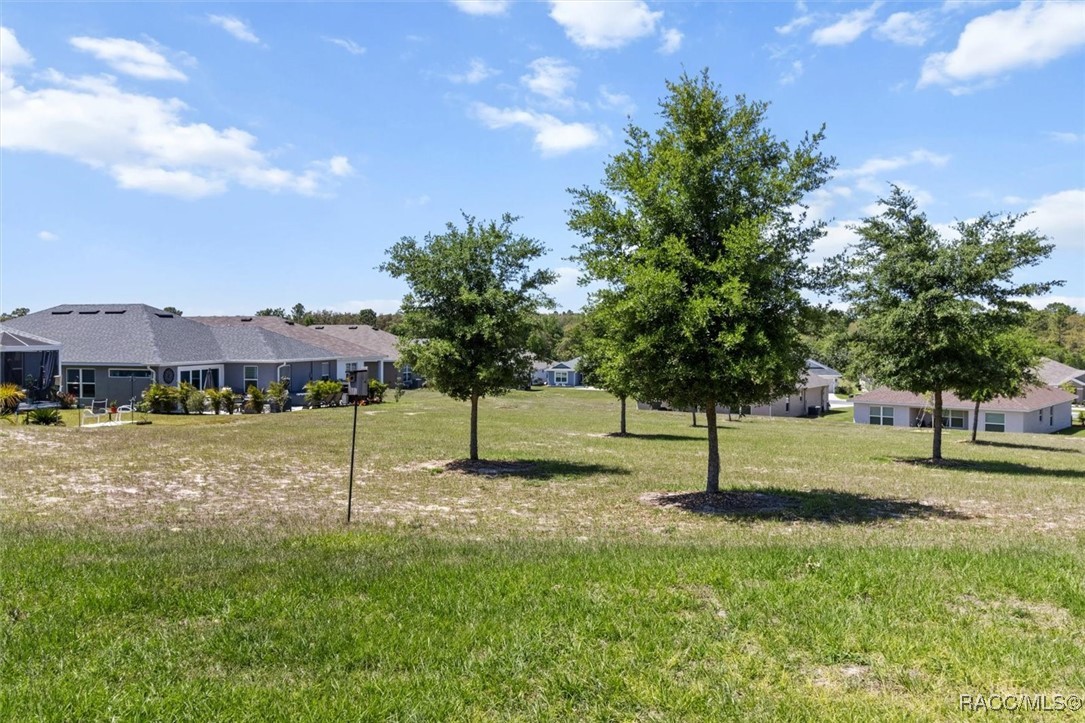 571 W Twisted Oaks Drive, Beverly Hills, Florida image 39