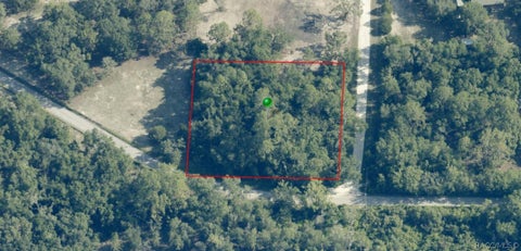 Vacant Land For Sale - 2774 S Suellen Terrace<br/> Inverness, FL 34450