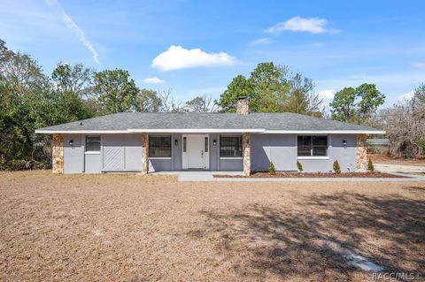 Homes For Sale - 5780 S Eaton Terrace<br/> Inverness, FL 34452