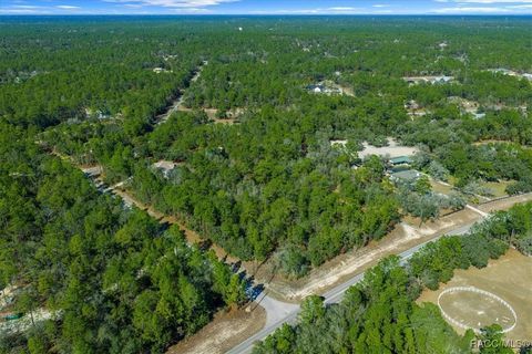 6055 W Ponderosa Place Beverly Hills FL 34465