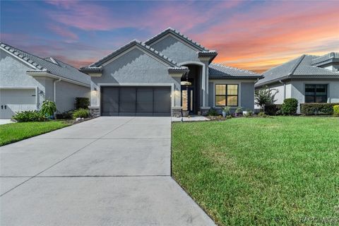 A home in Hernando