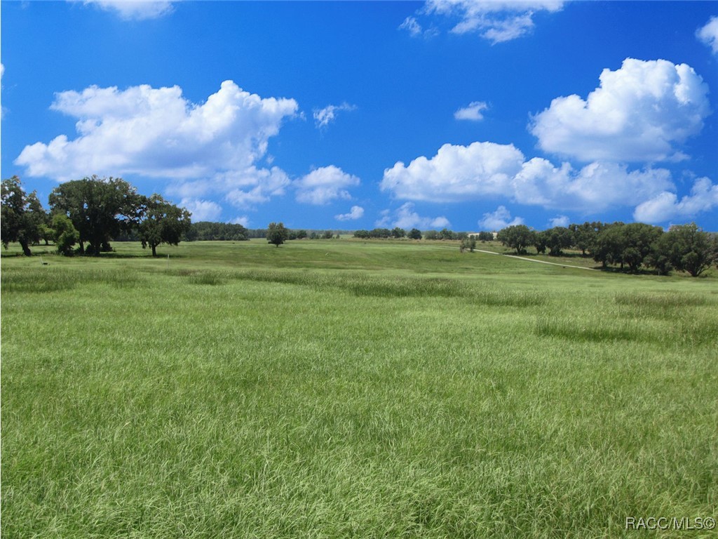 00 SW 10th Street, Dunnellon, Florida image 1