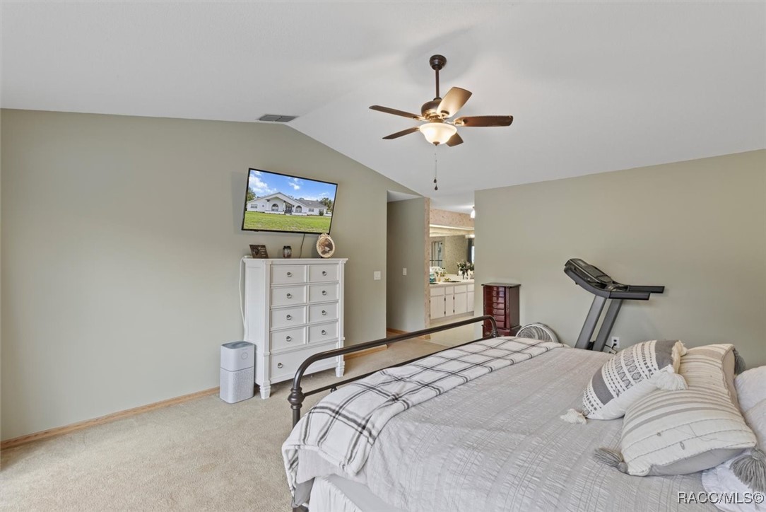 390 E Falconry Court, Hernando, New York image 39