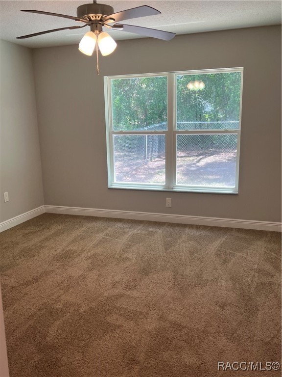 312 W Bolero Place, Citrus Springs, Florida image 13