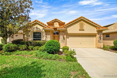 1328 W Diamond Shore Loop Hernando FL 34442