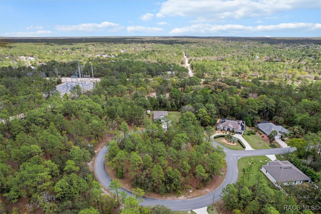 9 Hazelwood Court, Homosassa, Florida image 50