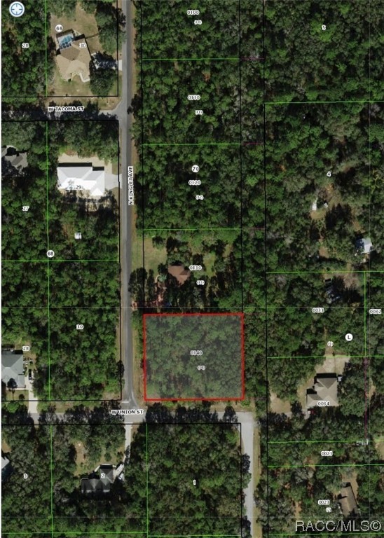 159 N Kinglet Avenue, Hernando, Florida image 1