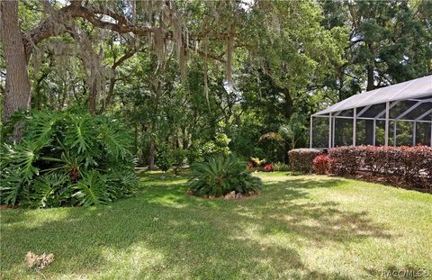 A home in Hernando