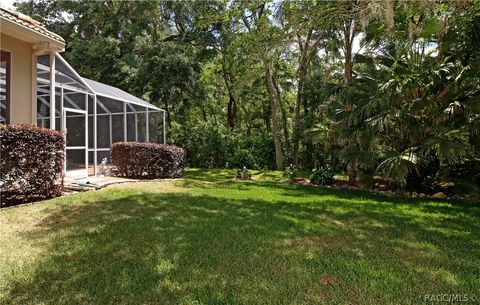 A home in Hernando