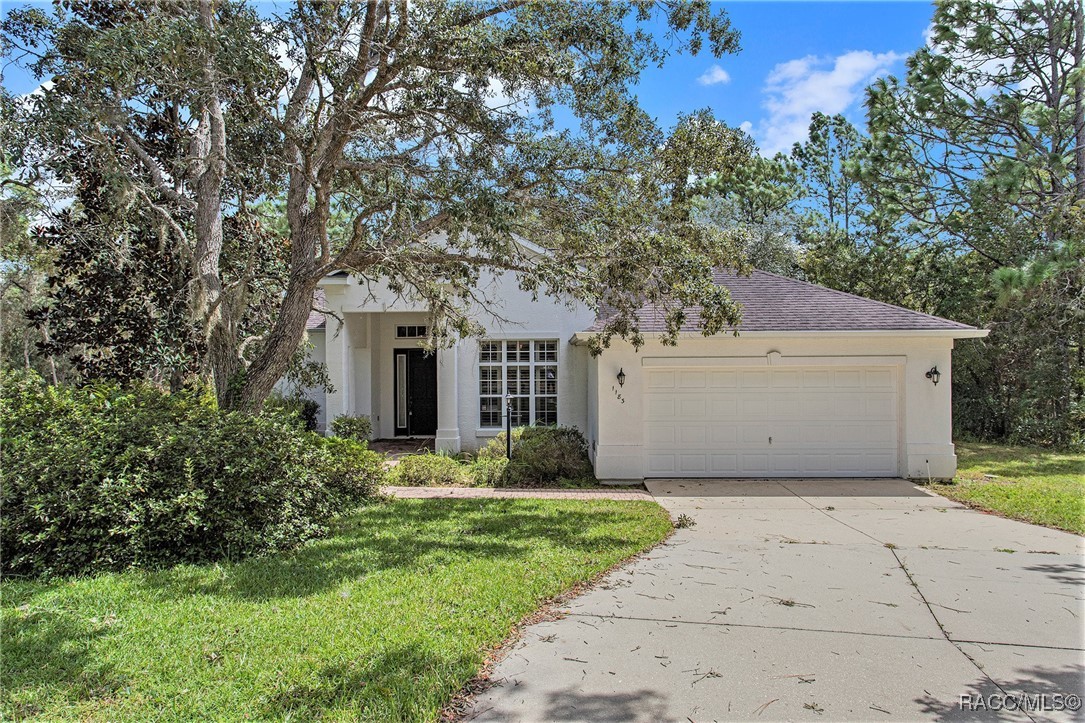 1183 N Chance Way, Inverness, Florida image 1