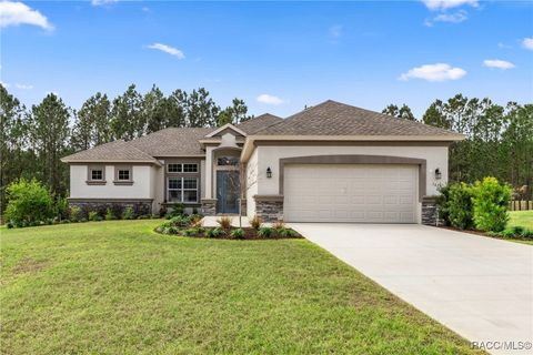 1670 E Gate Dancer Circle Inverness FL 34453