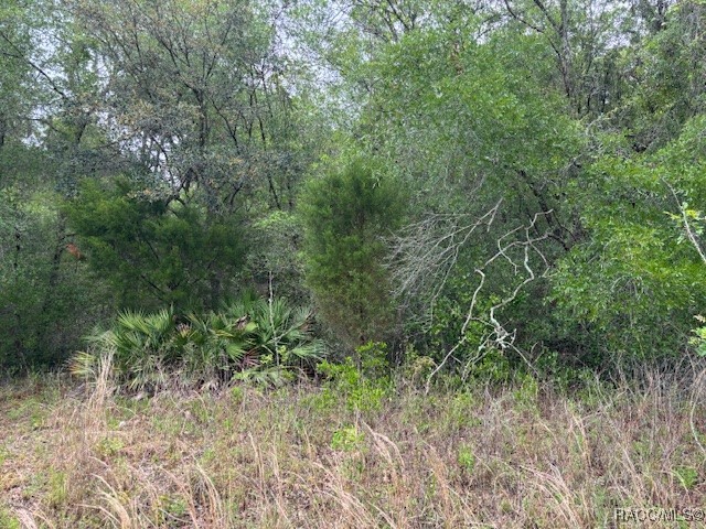 93 N Croft Avenue, Inverness, New York image 1