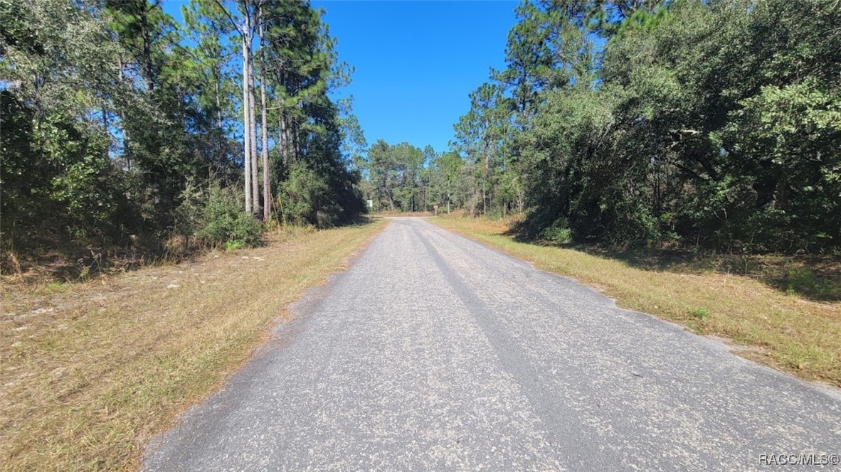 8622 N Empire Avenue, Citrus Springs, Florida image 4