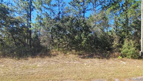 Vacant Land For Sale - 8622 N Empire Avenue<br/> Citrus Springs, FL 34433