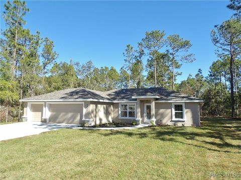 A home in Citrus Springs