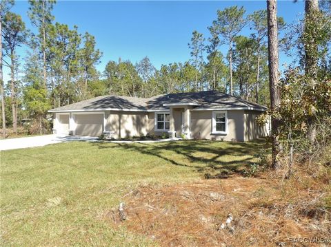 A home in Citrus Springs