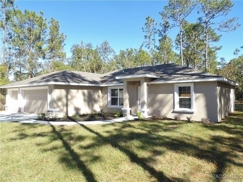 A home in Citrus Springs