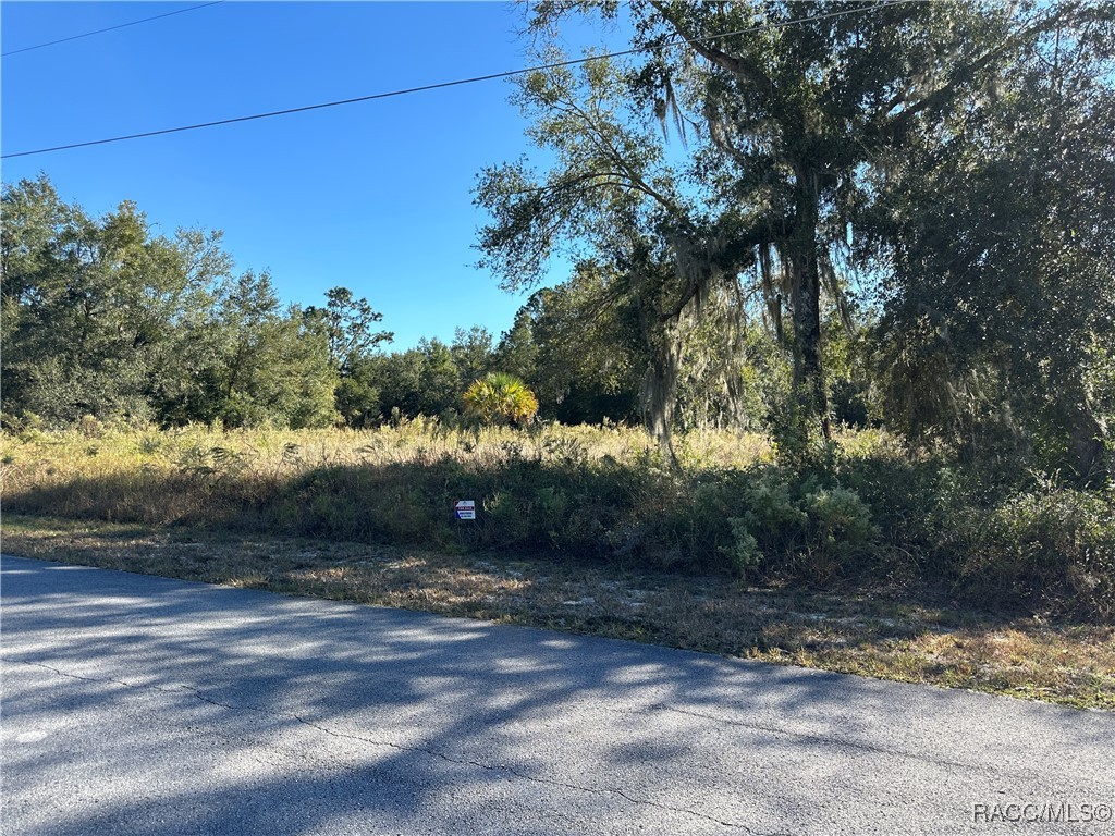 00 SW North Beach Road, Dunnellon, Florida image 1