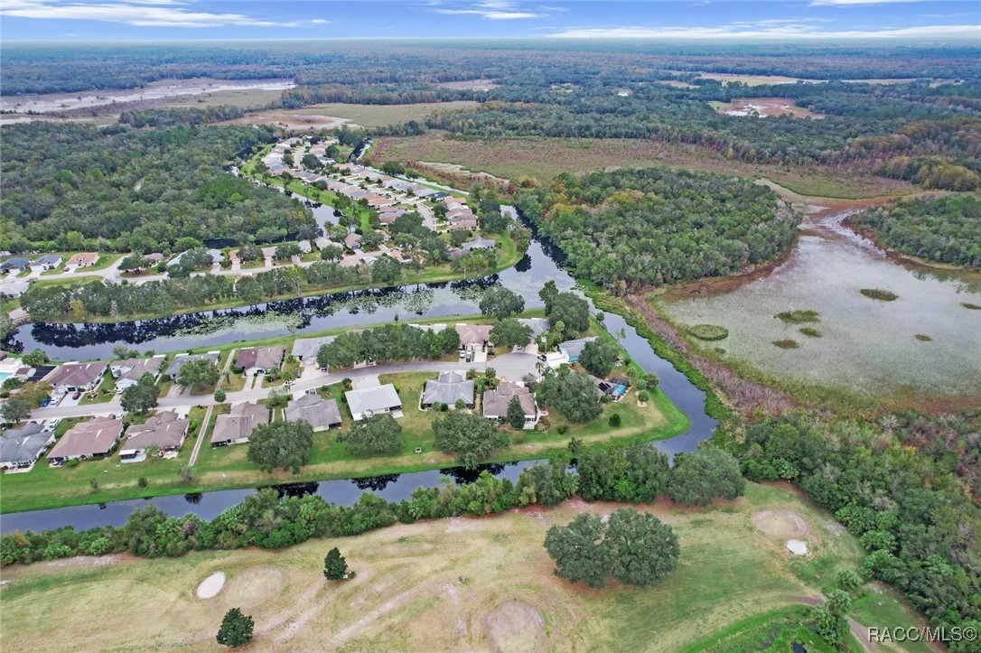 9851 E Pebble Creek Court, Inverness, Florida image 37