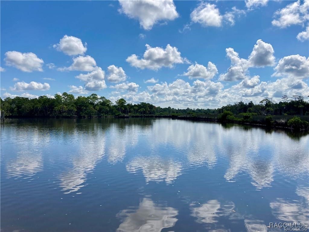 11456 W Bayshore Drive, Crystal River, New York image 6