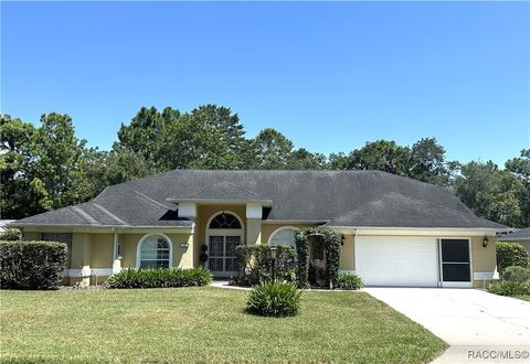 A home in Homosassa