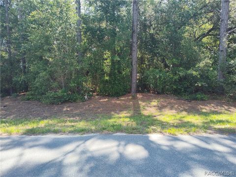 Vacant Land For Sale - 8646 N Buscetta Loop<br/> Crystal River, FL 34428