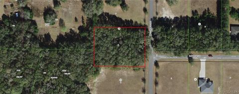 Vacant Land For Sale - 3002 N Clements Avenue<br/> Hernando, FL 34442