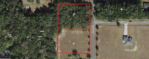 3002 N Clements Avenue Hernando FL 34442