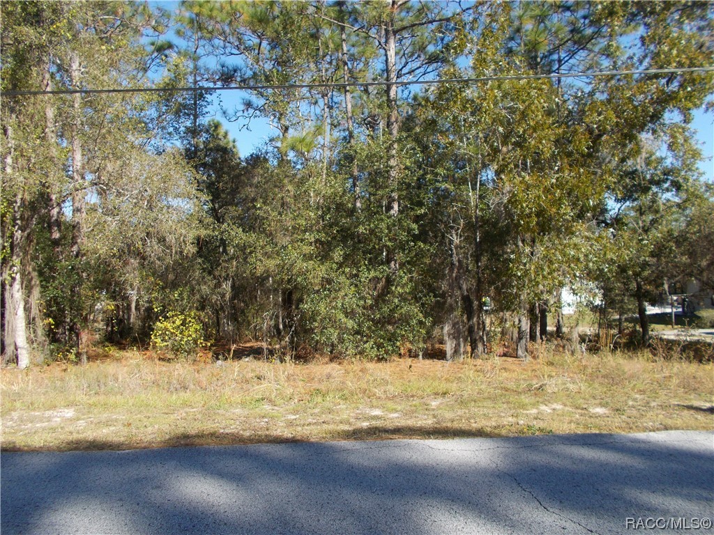 1401 E Bismark Street, Hernando, Florida image 3