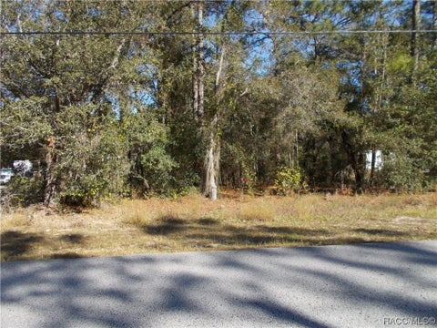 Homes For Sale - 1401 E Bismark Street<br/> Citrus County, Hernando, FL 34442