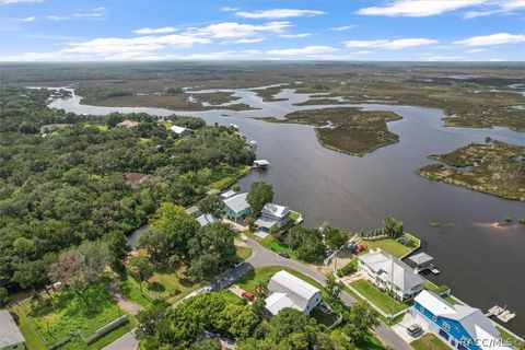 A home in Homosassa