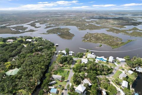 A home in Homosassa