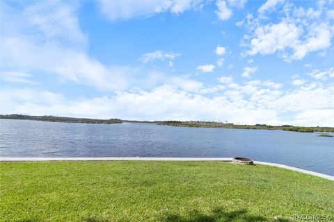 A home in Homosassa