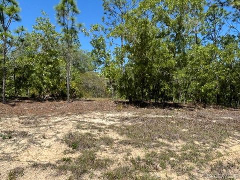 Vacant Land For Sale - 2888 W Lambert Drive<br/> Dunnellon, FL 34433