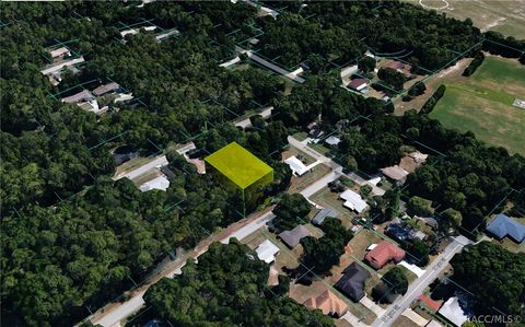 Vacant Land For Sale - 6691 E Harold Lane<br/> Inverness, FL 34452