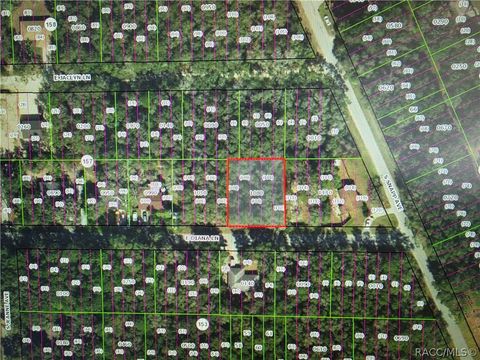 Vacant Land For Sale - 3629 E Diana Lane<br/> Inverness, FL 34453