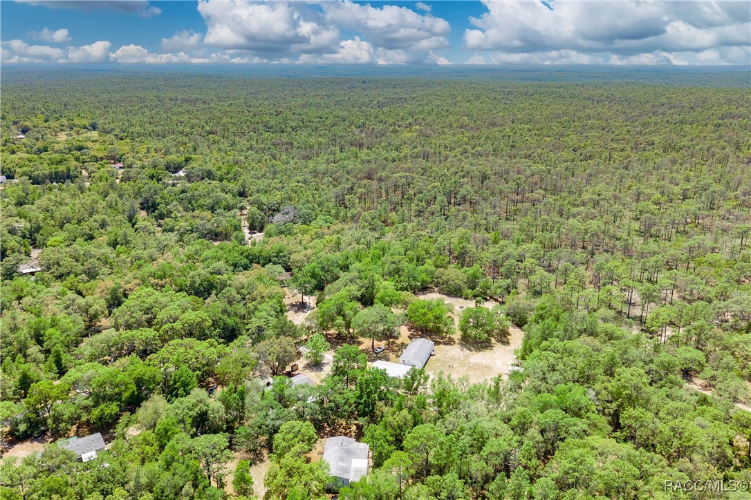2717 E Buck Court, Inverness, Florida image 34