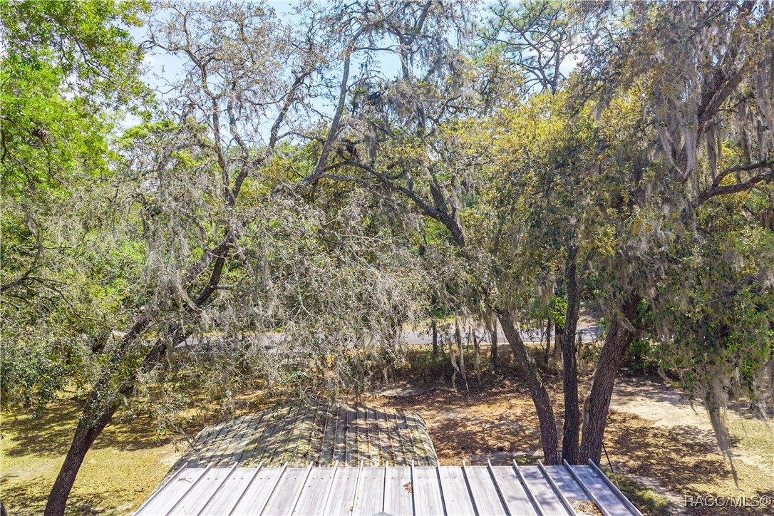2717 E Buck Court, Inverness, Florida image 35