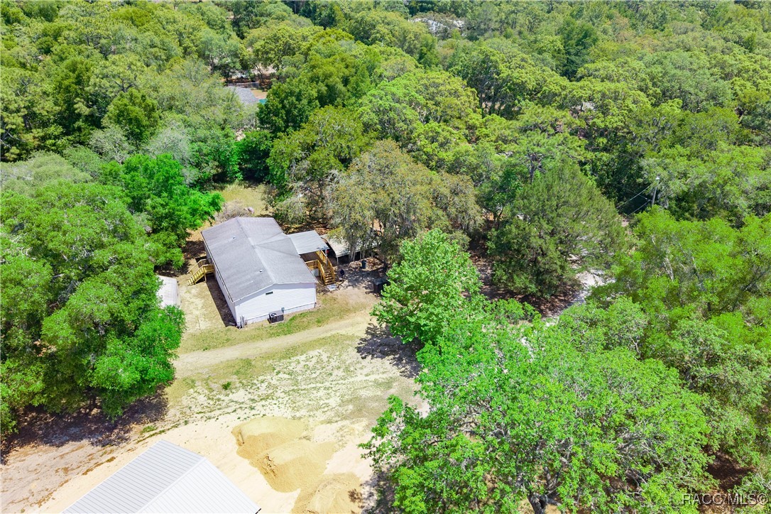 2717 E Buck Court, Inverness, Florida image 31