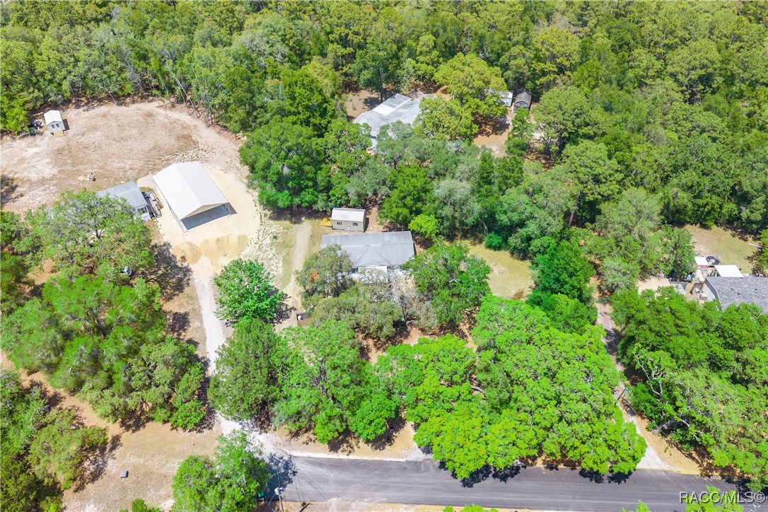 2717 E Buck Court, Inverness, Florida image 30
